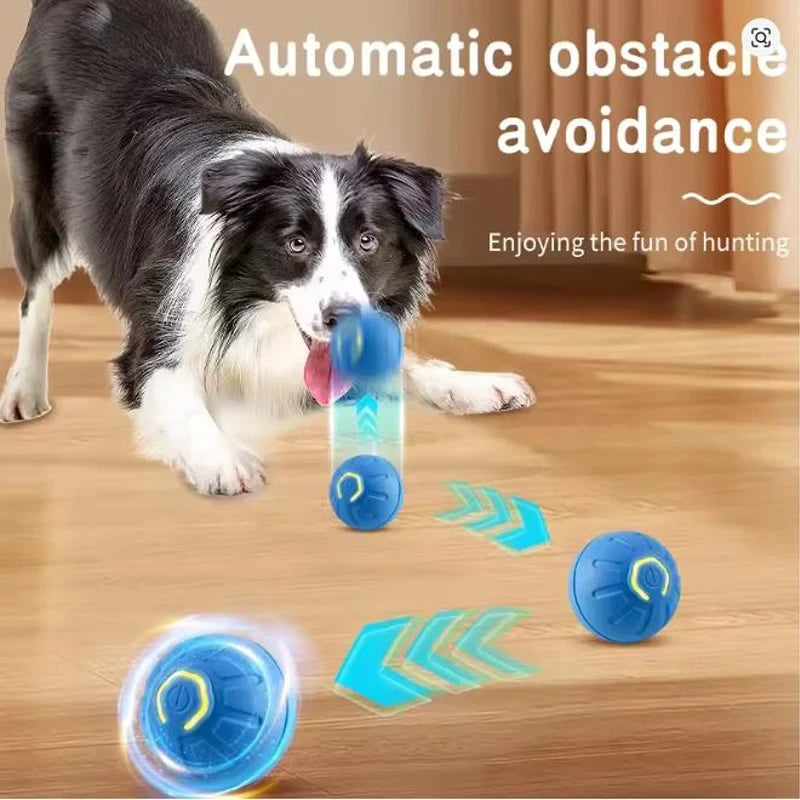 Interactive Pet Toy Ball