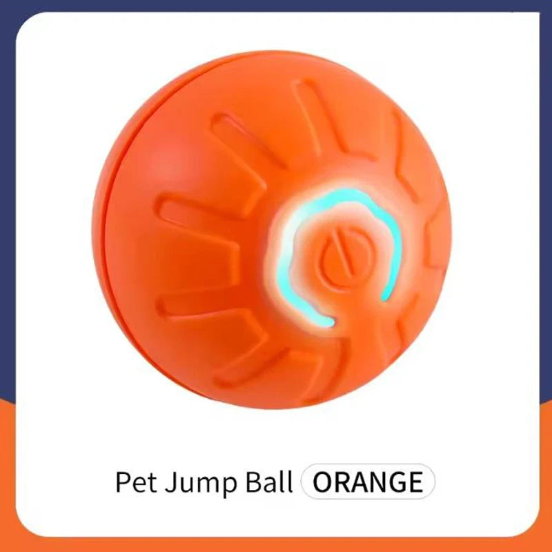 Interactive Pet Toy Ball