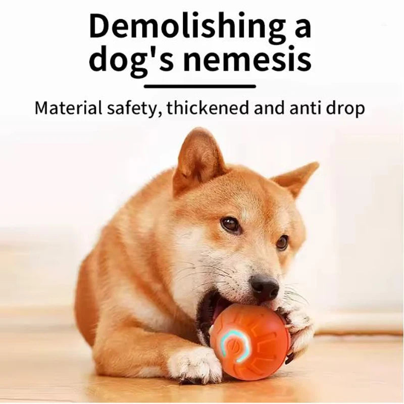 Interactive Pet Toy Ball