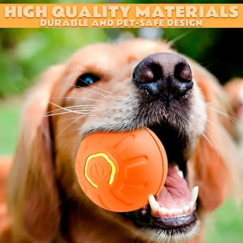 Interactive Pet Toy Ball