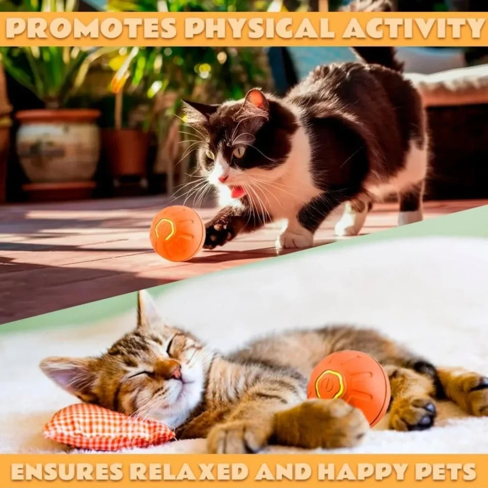 Interactive Pet Toy Ball